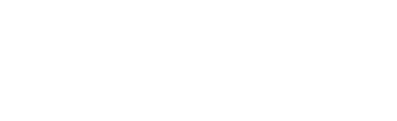 Plaveoo logo